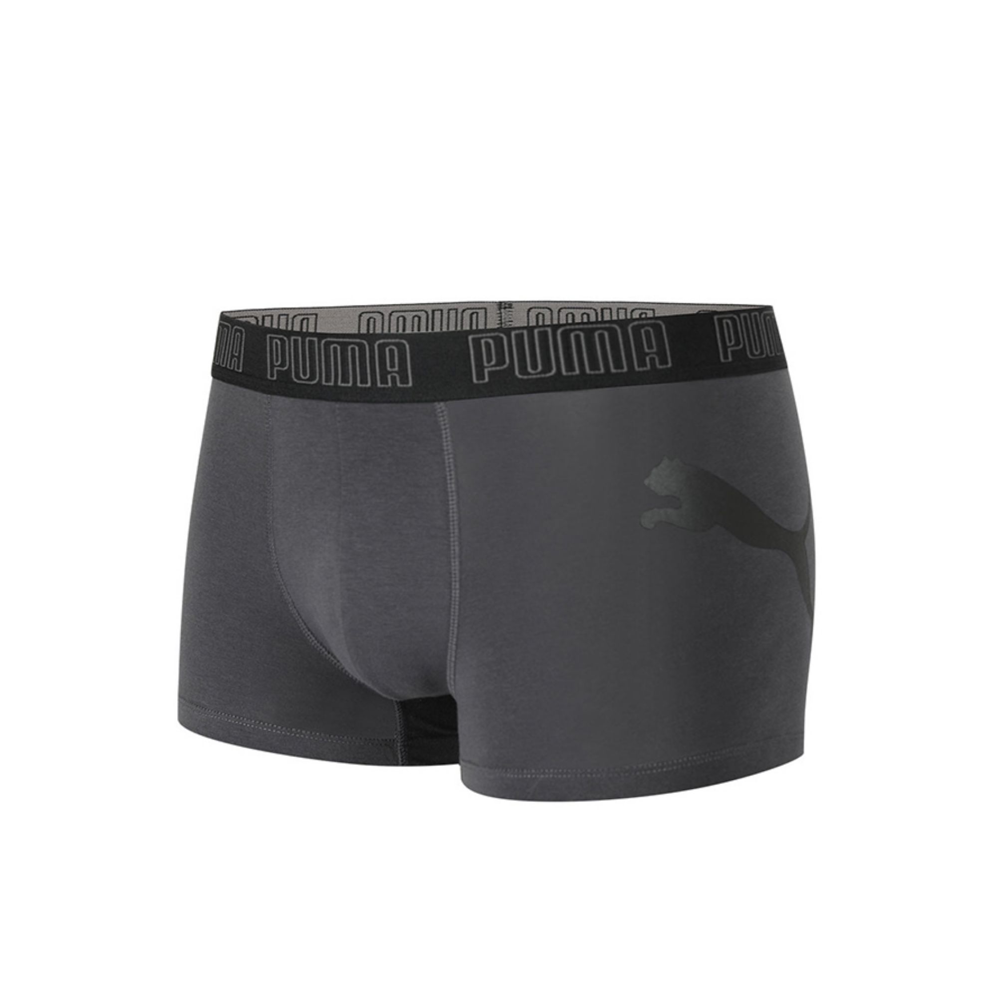 PUMA Men Underpants