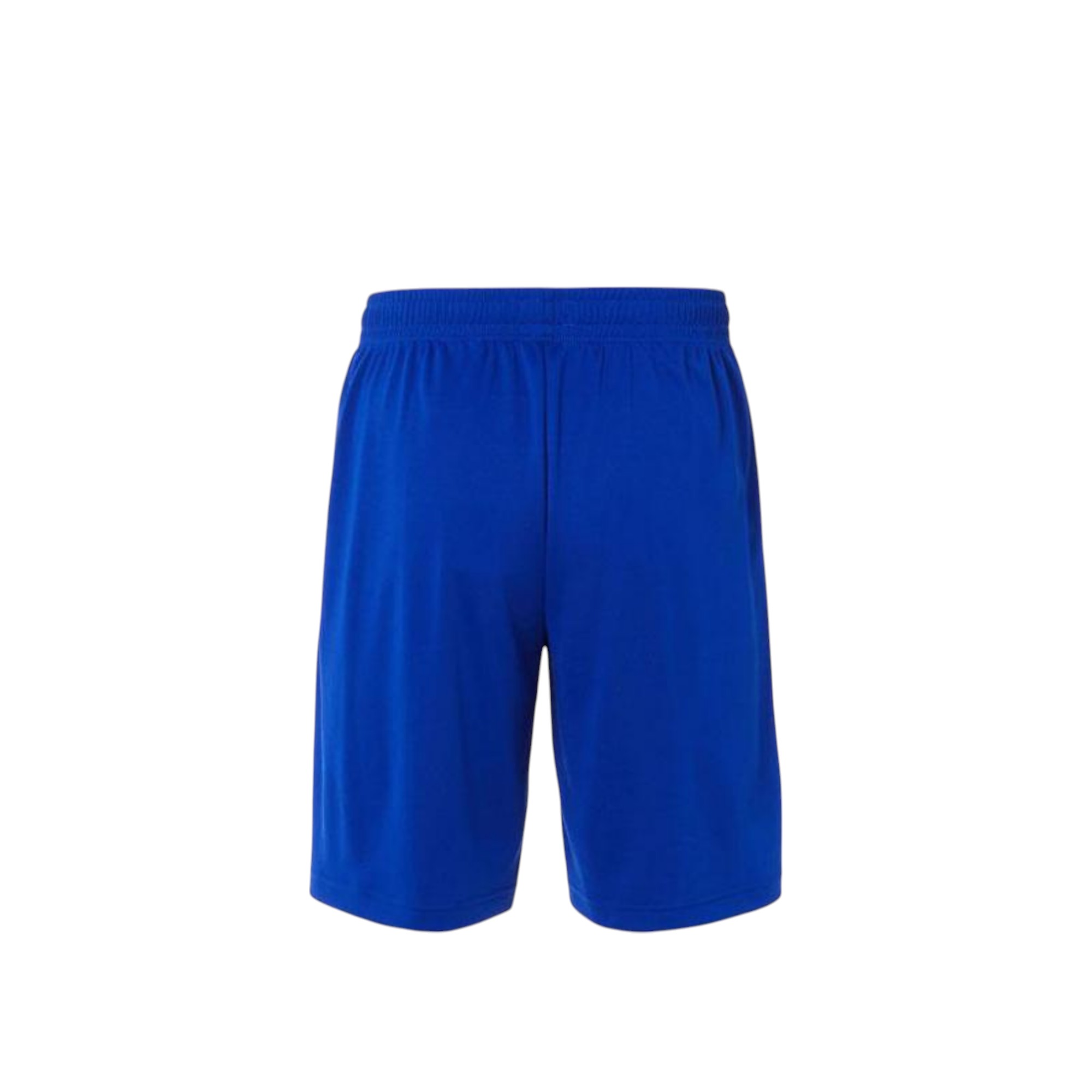 Asics Casual Shorts Men Blue