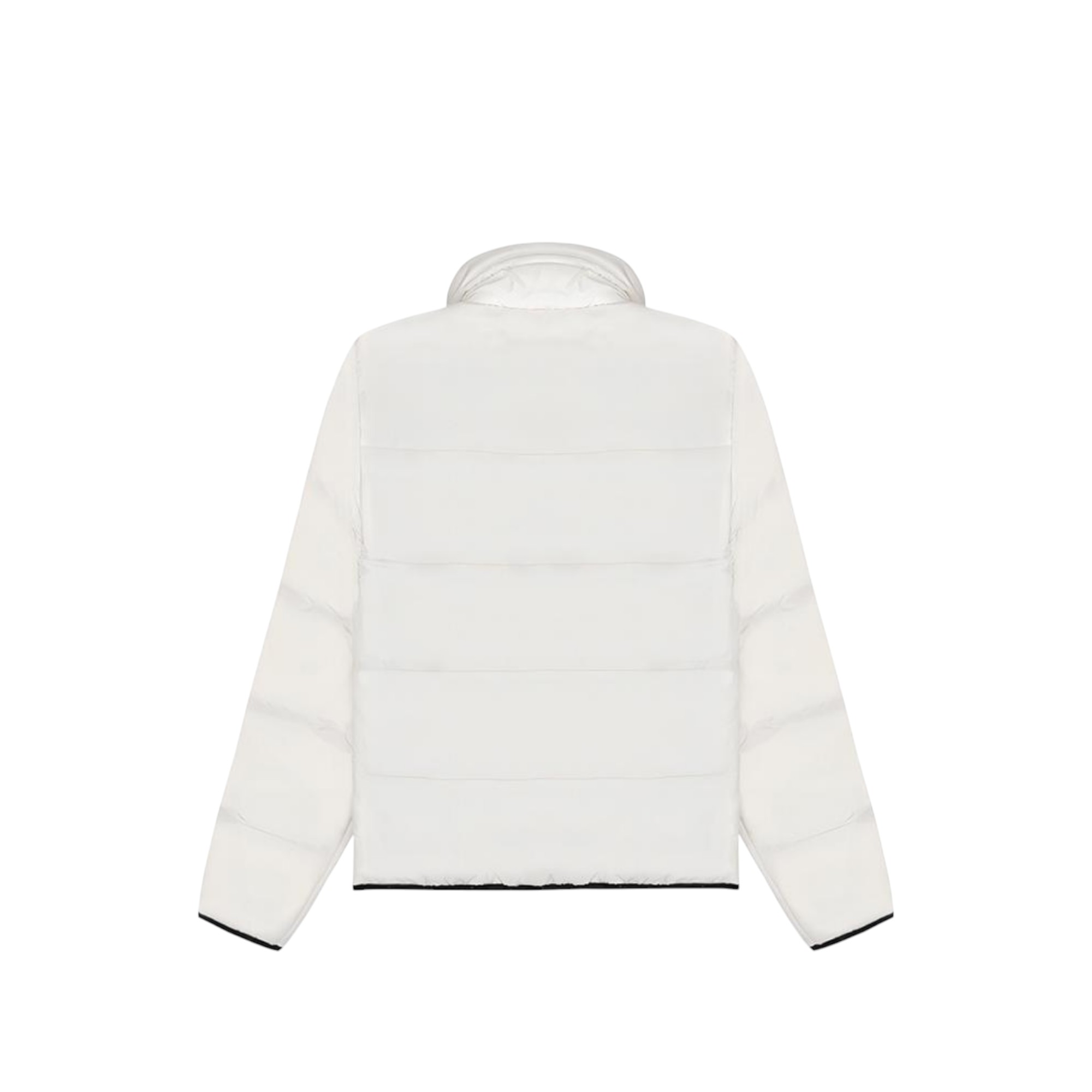 Champion Jackets Women's