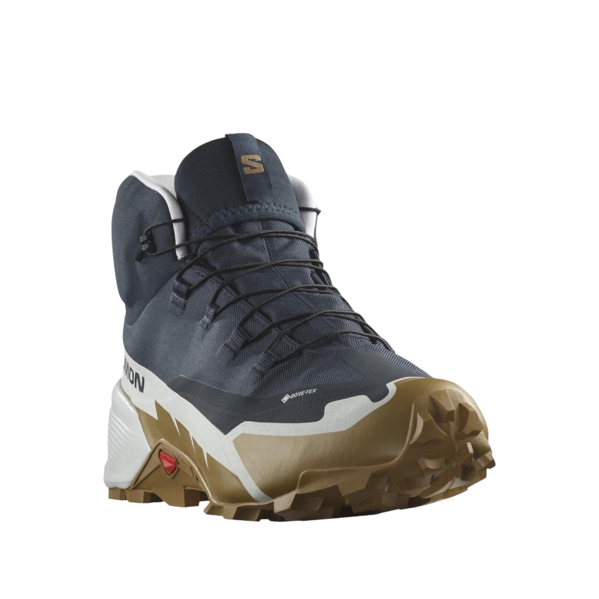 Cross Hike SALOMON 2 Mid GORE-TEX 'Carbon Bronze Brown'